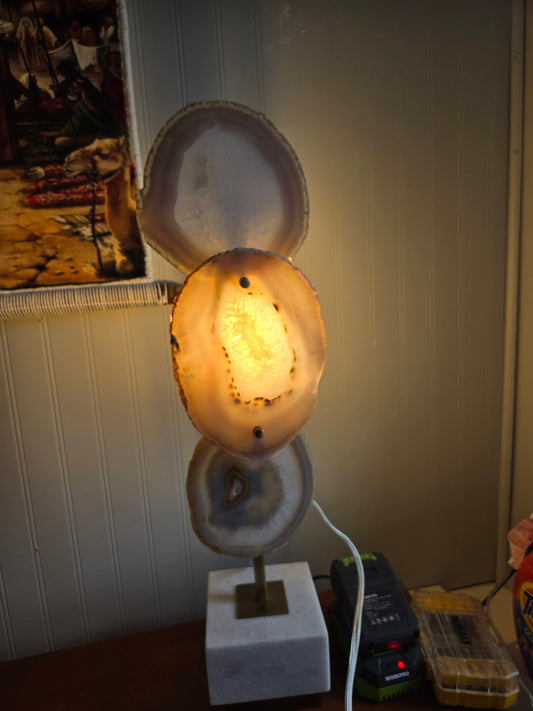 Lamp